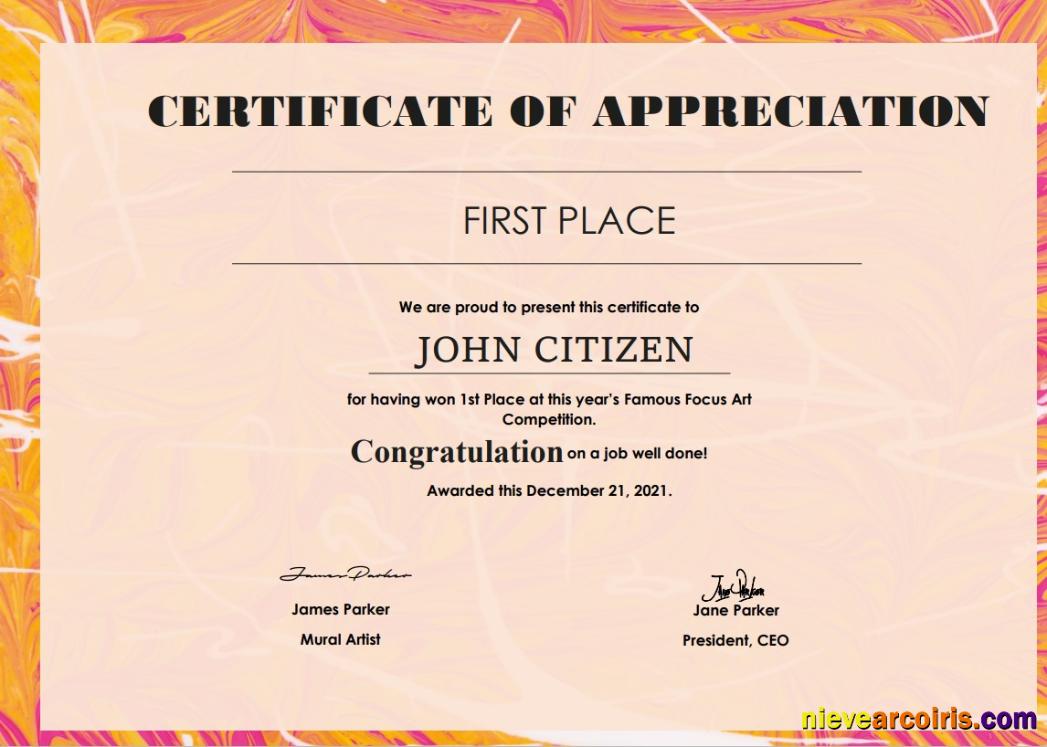 USA Art Certificate